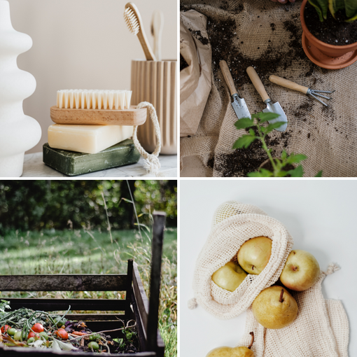 Sustainable Living - 10 Ways to Start